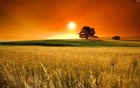 Picture for song 'The Visit (Original)' by artist 'TexScratch'
