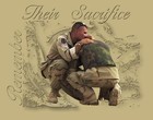 Picture for song 'Shine On (Memorial Day Tribute)' by artist 'The Tools'