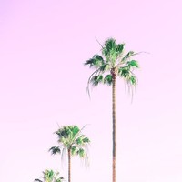Picture for song 'Bay shore (Free DL)*15*NEW* Beats!!!' by artist 'TopCodeBeats'