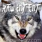 Picture for song 'Raw Intent' by artist 'TRACKSTACKERZ'