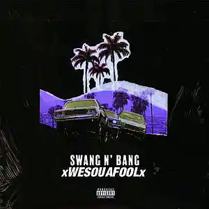 Picture for song 'Swang & Bang SOLD' by artist 'WESOUAFOOL'