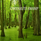 Picture for song 'Chrysolite Swamp' by artist 'WMRI'