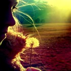 Picture for song 'Write ov Passage - When They Are Gone' by artist 'wRiteovPassage'