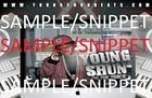 Picture for song '(FREE DL)(Snippet)Dat Aint My Main' by artist 'Y0uNG ShUn(CrUnKeSt BuCkEsT NiGga On Sc)'