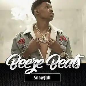 Picture for song 'Snowfall (2 for 1)' by artist 'BeezeBeats'
