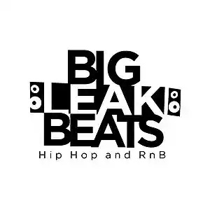 Picture for song 'Big Leak Beats "FG 18" (Happy type rap beat)' by artist 'Big Leak Beats'