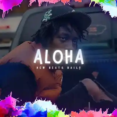 Picture for song 'Aloha' by artist 'Brandnew Beats'