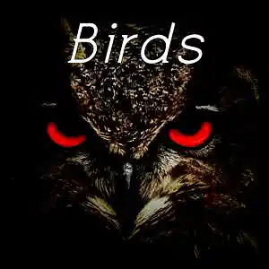 Picture for song '[Free] Dark Trap Type Beat - Birds' by artist 'DFS music'