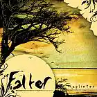 Picture for song 'Splinter' by artist 'Falter'