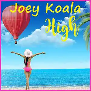 Picture for song 'High' by artist 'Joey Koala'