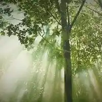 Picture for song 'Close Your Eyes and Feel the Magic' by artist 'Kristi McKeever'