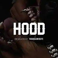 Picture for song 'Hood' by artist 'Parabellum Beats'