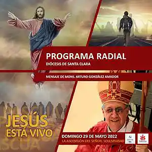 Picture for song 'La Ascensión del Señor, 29 de mayo' by artist 'Producciones Vandor'