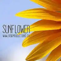 Picture for song 'Sunflower - *Chill/R&B* - Free DL' by artist 'Risk Productions'