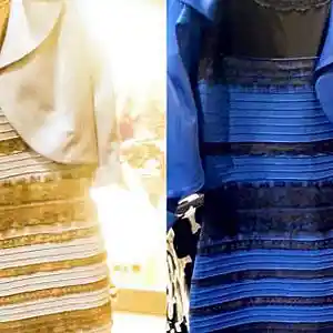 Picture for song 'TonyHamilton - The Dress (Diss)' by artist 'TonyHamilton'