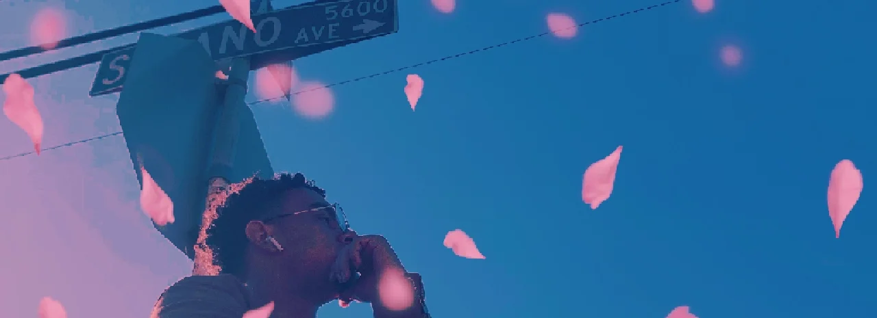 cover pic