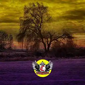 Picture for song 'WILLOW (Post Malone Tyla Yaweh Type Beat)' by artist 'Chorderline'