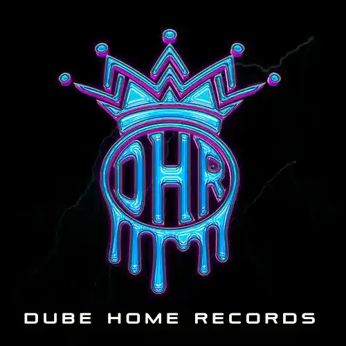 Picture for song 'The Reason Why' by artist 'Dube Home Records'