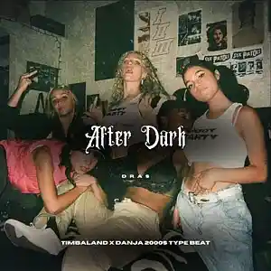 Picture for song '"After Dark" (Timbaland x Danja x 2000s Type Beat)' by artist 'Dras On The Beat'