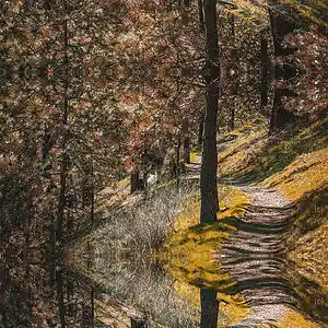 Picture for song 'Shallow Country Vibe Instrumental' by artist 'Kane Town Beats'