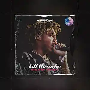 Picture for song '"Kill The Vibe" Juice WRLD Type Beat' by artist 'MoneysOnDead'