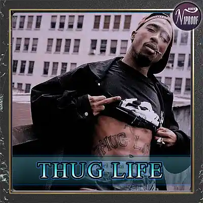 Picture for song 'Eminem x Tupac Type Beat THUG LIFE' by artist 'N1PROOF BEATS'