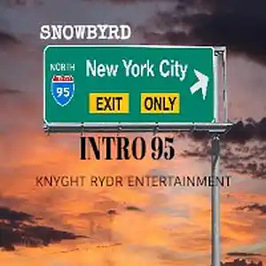 Picture for song 'INTRO 95' by artist 'Snowbyrd'