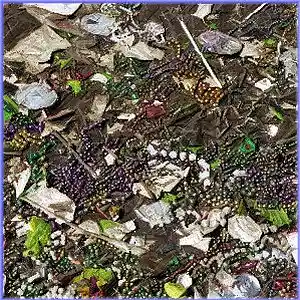 Picture for song 'Party Gras' by artist 'The OverSoul'