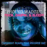 Picture for song 'FUCK DRINK AND SLEEP' by artist 'THEPHOENIXEMPIRE!'
