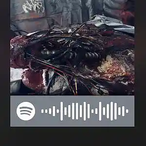 Picture for song 'Sunvision' by artist 'V 35 53 L'