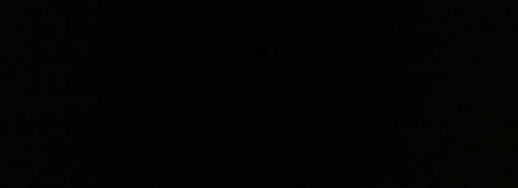 cover pic