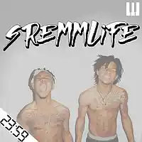 Picture for song 'SremmLife (Mike Will x Rae Sremmurd Type)' by artist '2359'