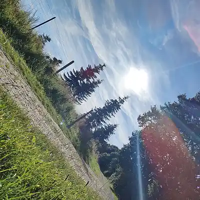 Picture for song '20240729_153735_FS_' by artist '786 scheint-Al'lahs Bande'