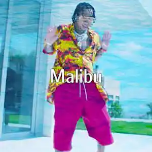 Picture for song 'Malibu' by artist 'Beats by dk'