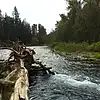 Picture for song 'Sacred Flow of the Cedar River' by artist 'Carlo D'Anna'