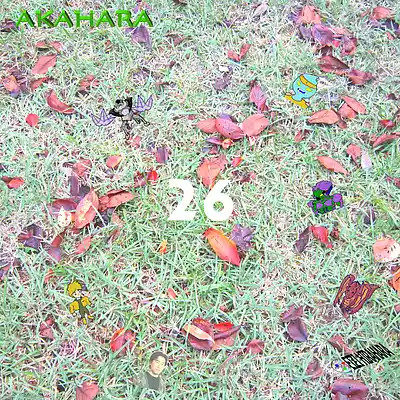 Picture for song 'AKAHARA 26' by artist 'Eizi Hirahara'