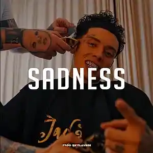 Picture for song 'Drill type beat - "Sadness"' by artist 'flaybee'