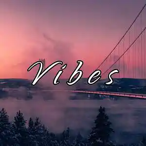 Picture for song 'Vibes' by artist 'Frankenstein Beats'