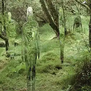 Picture for song 'Shed Theory Type beat - "MindLess"' by artist 'maxxyn00'