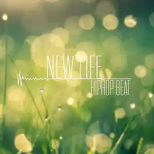 Picture for song 'Mirasonic - New Life (Hip Hop Beat)' by artist 'Mirasonic Beats'