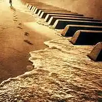 Picture for song 'We Are Blessed ' by artist 'Naweed Productions'