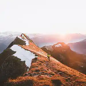 Picture for song 'Roses' by artist 'P.R Beats'