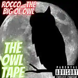 Picture for song 'GET UP AN MOVE' by artist 'Rocco The Big Ol Owl'