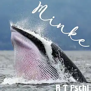 Picture for song 'Minke' by artist 'R T Fschl'