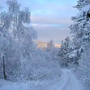 Picture for song 'Arrival of winter' by artist 'SKVRLET OCEVN'