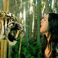 Picture for song 'stuck in the jungle' by artist 'SoulSearch'