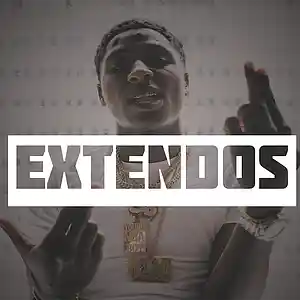 Picture for song '*FREE "Extendos" NBA Youngboy Type Beat' by artist '94Wavez'