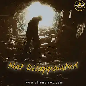 Picture for song 'Not Disappointed' by artist 'Alienoisez Beats'