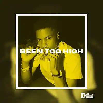 Picture for song '(FREE) Pierre Bourne Type Beat - "Been Too High"' by artist 'D-Streak057'