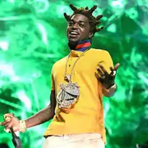 Picture for song 'Do What I Want / Kodak Black Type' by artist 'Track Professionals'